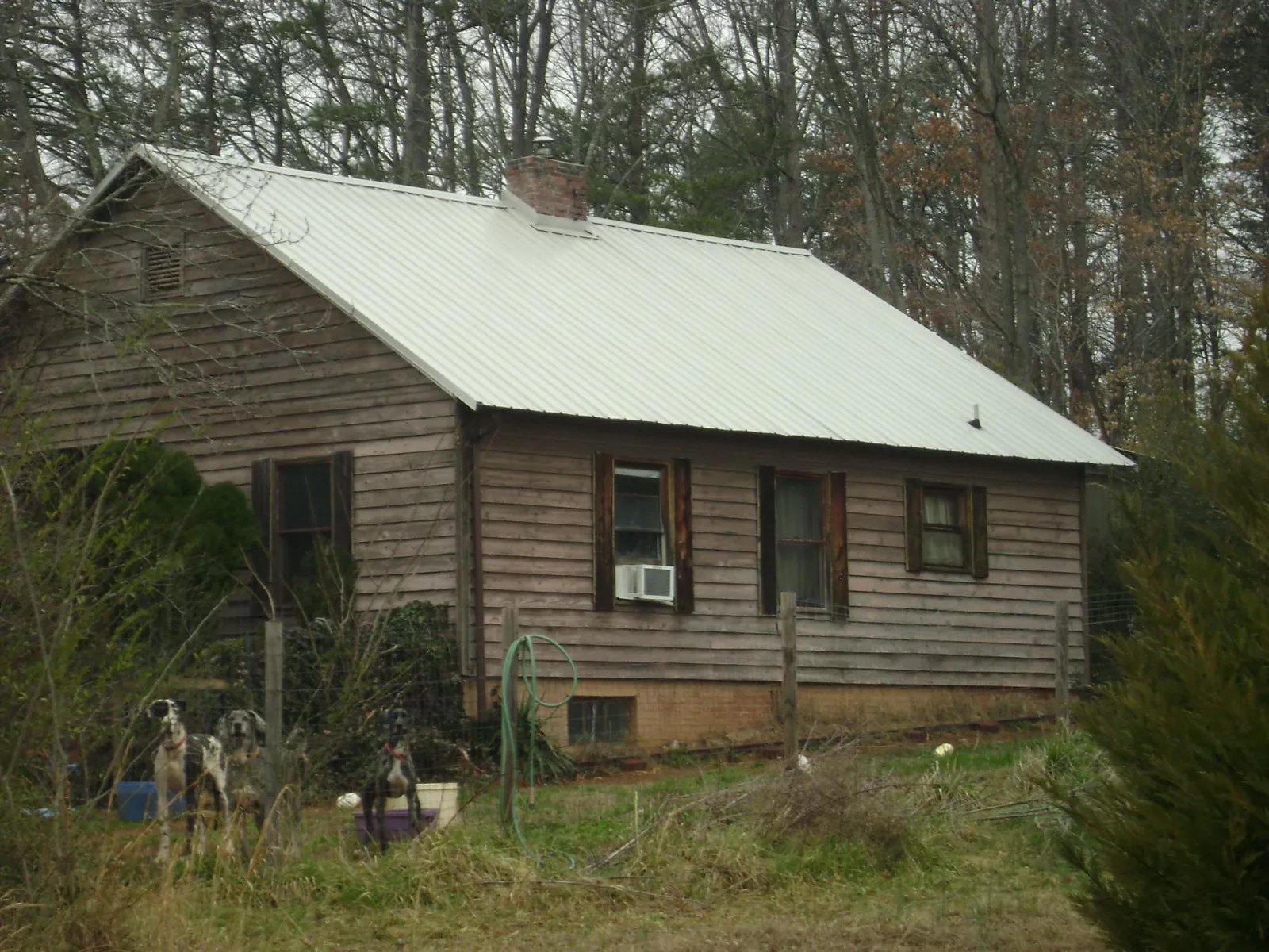 White metal roof on an old wood sided farmhouse, from a Asphalt Shingle Roof Repair job in El Granada